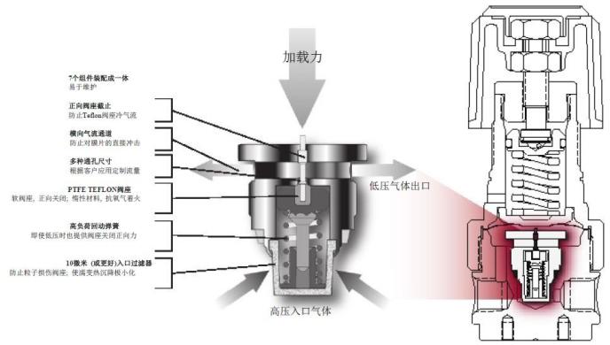 CONCOA˾pCapsuleg(sh)